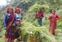 उत्तराखंड के एक गांव में पशुओं के लिए चारा इकट्ठा करके लाईं महिलाएं। फोटो- राजेश पांडेय